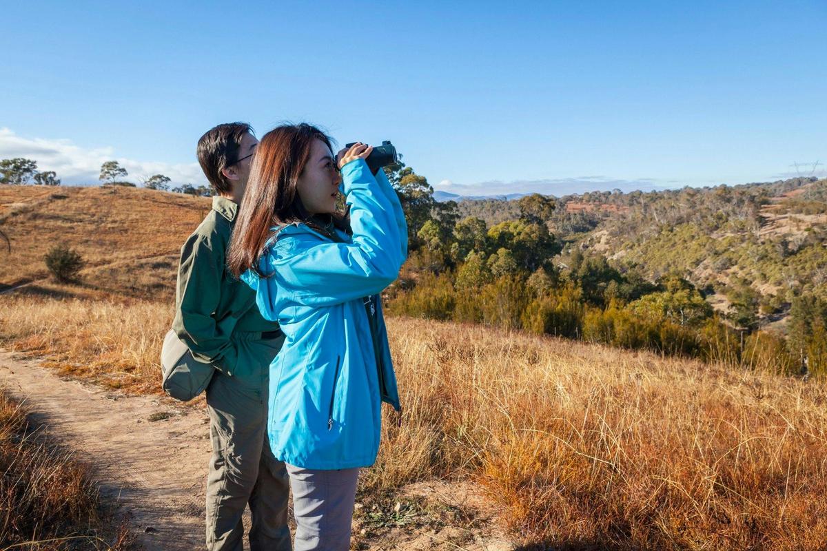 Kambah Trail