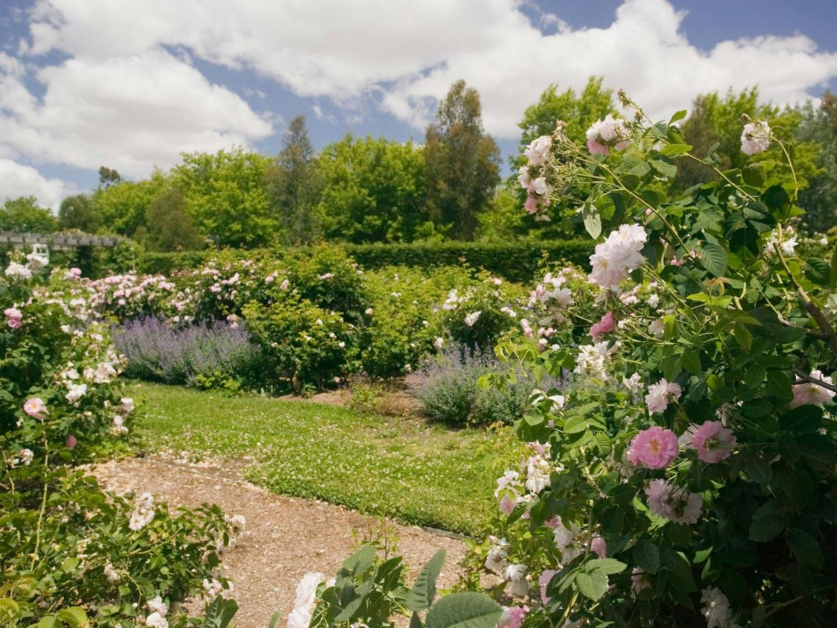 Old Parliament House Gardens