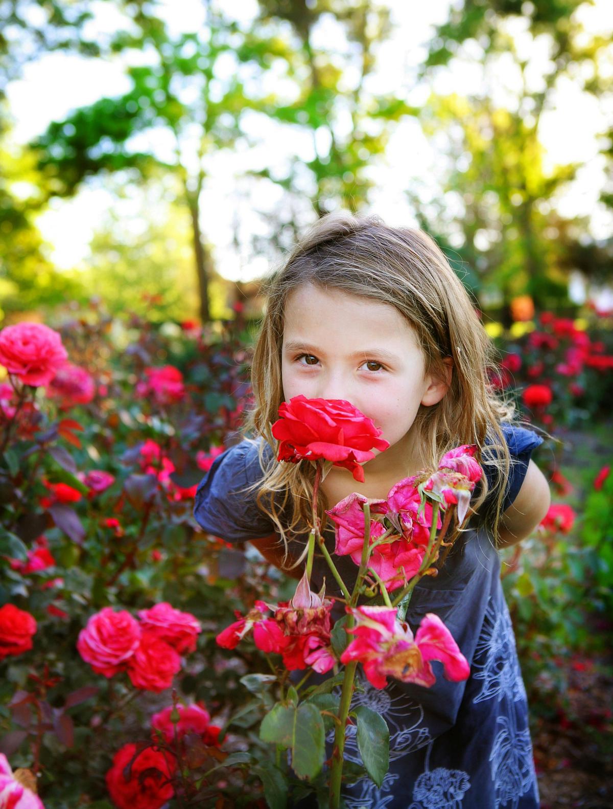 Smelling the roses. Photo by Jinkyart