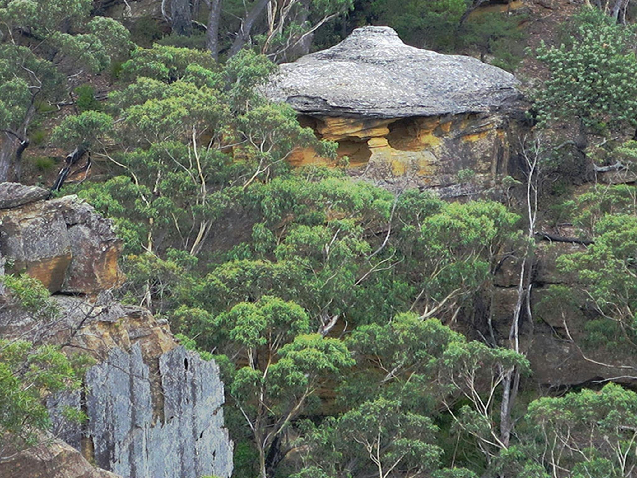 View of hat-like rock formation set in a steep and rocky bush landscape. Photo credit: Elinor