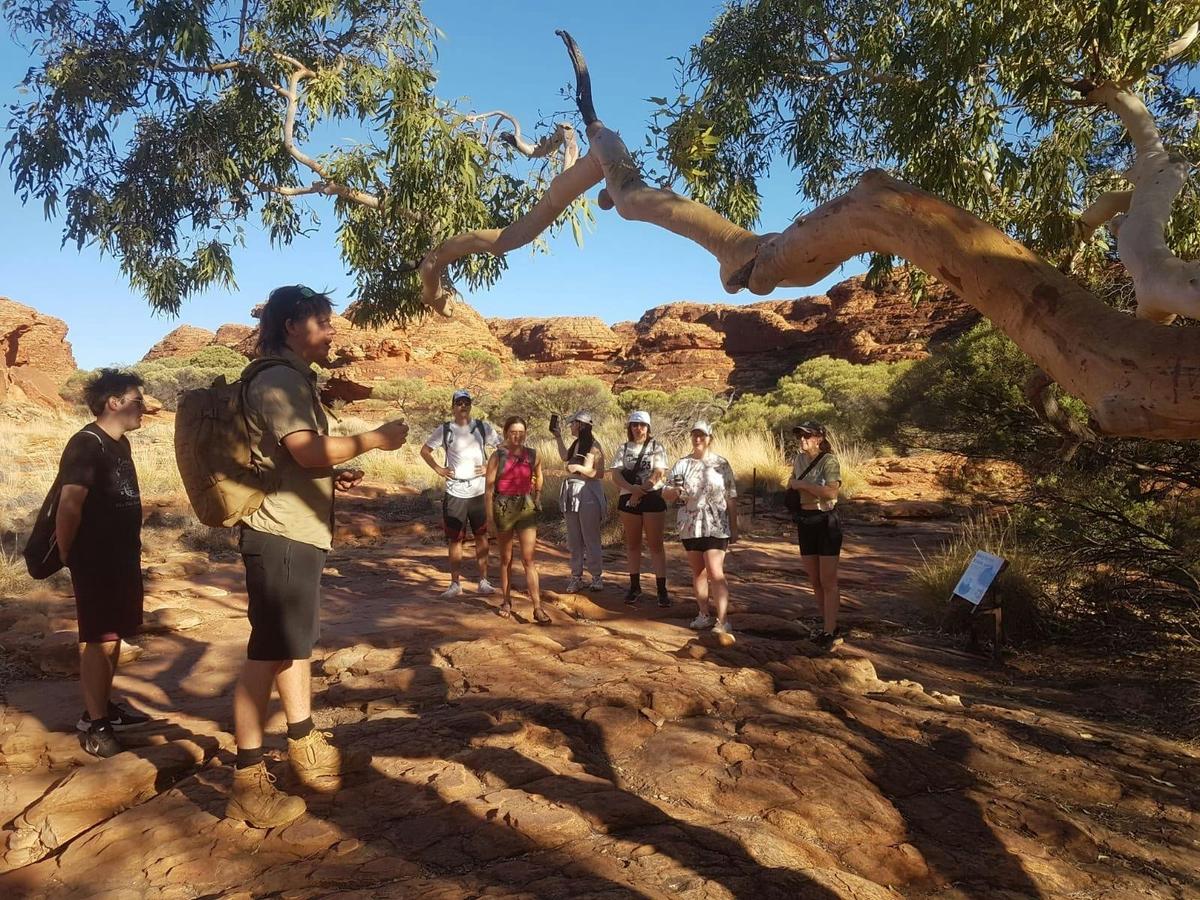 Uluru Tour with Kata Tjuta & Kings Canyon (Eco Tent) - Yulara to Alice Springs