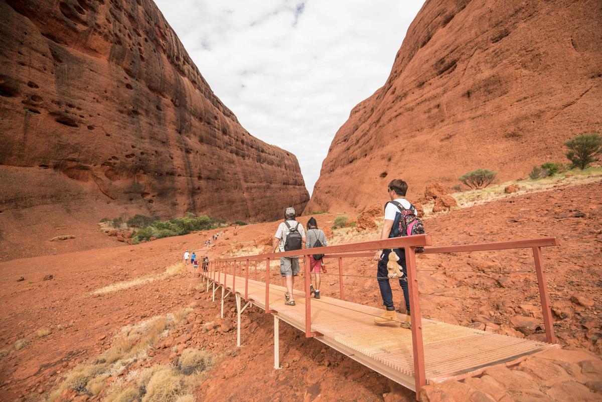 Uluru Tour with Kata Tjuta & Kings Canyon (Eco Tent) - Yulara to Alice Springs