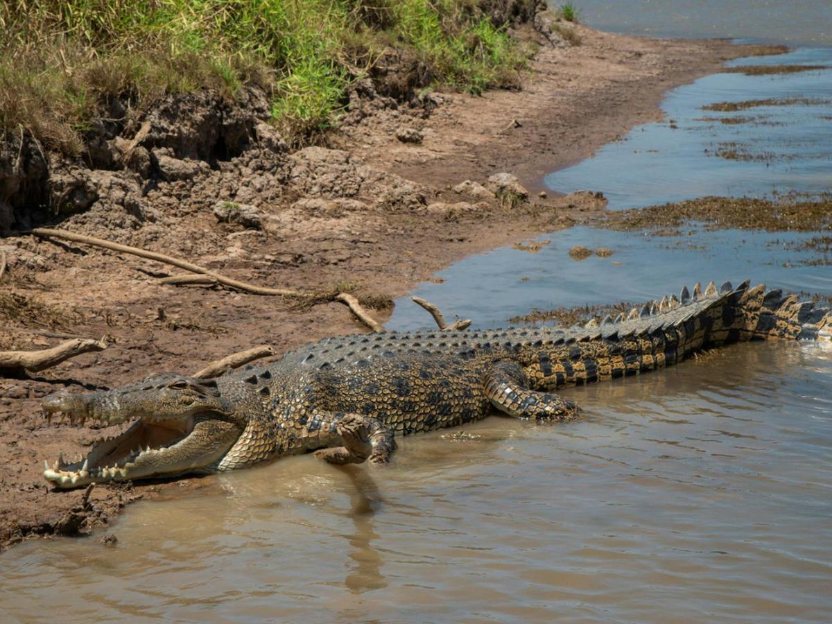 Kakadu, Katherine and Litchfield Tour – Camping
