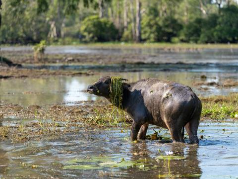 Kakadu Tour – Hotel