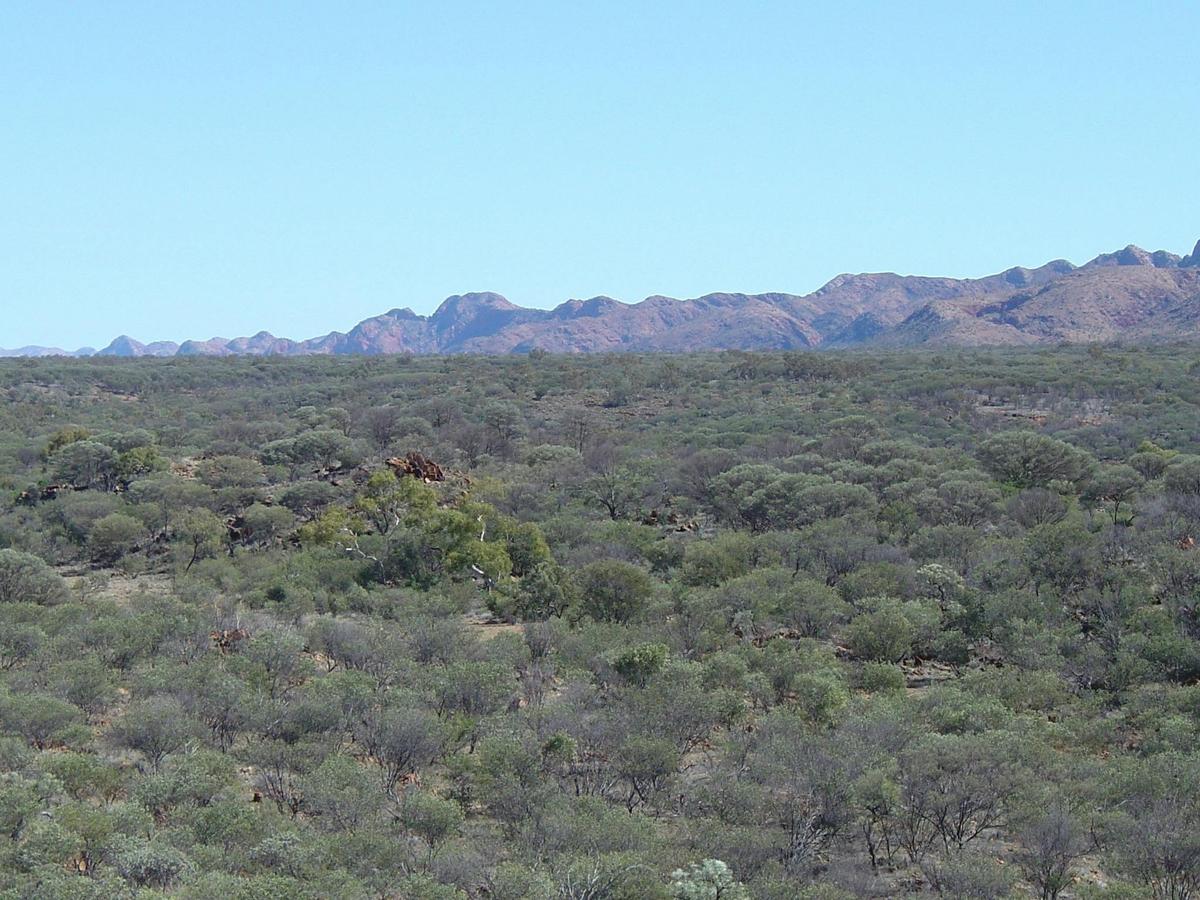 View along Section 6 Larapinta Trail