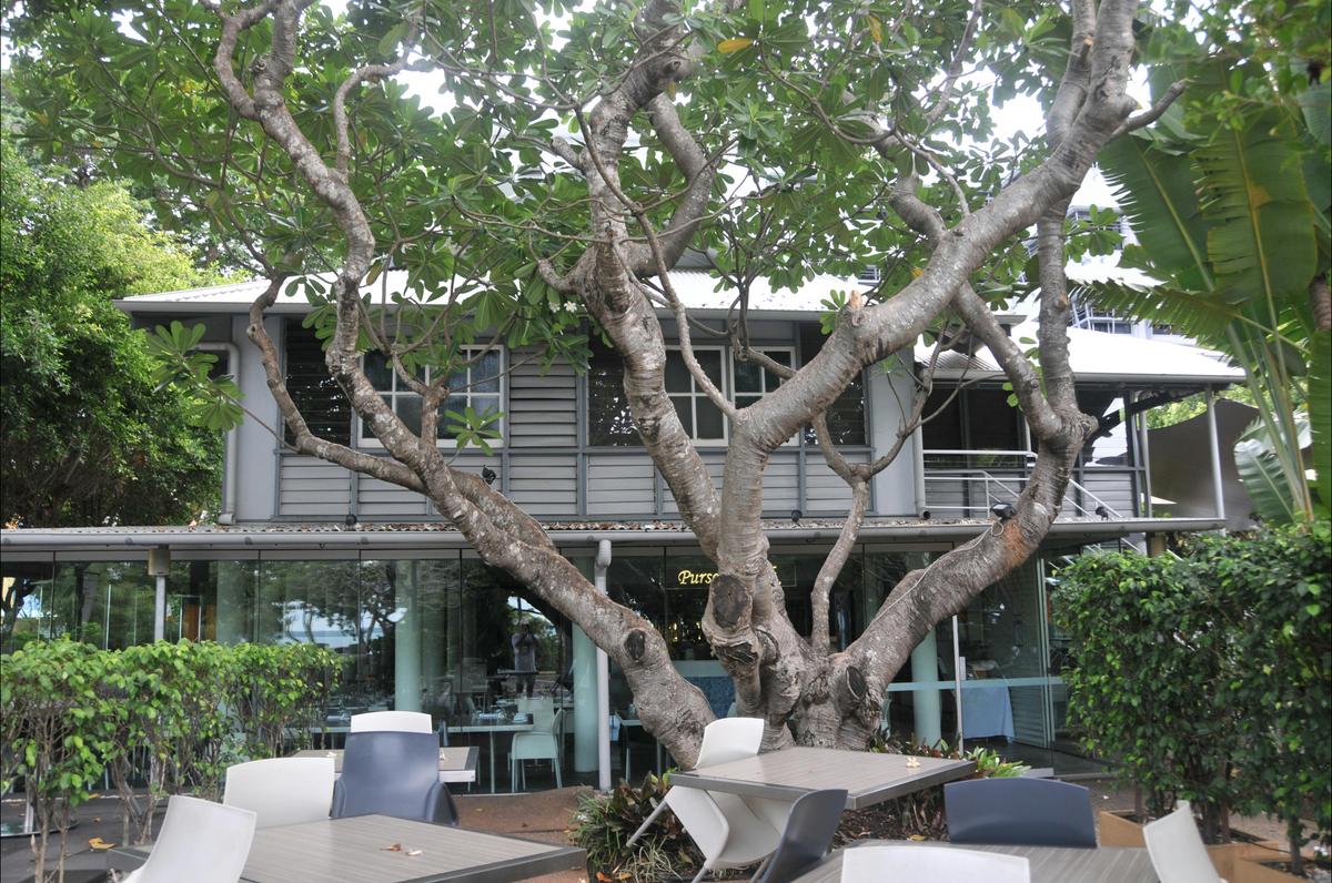 House and gardens.
