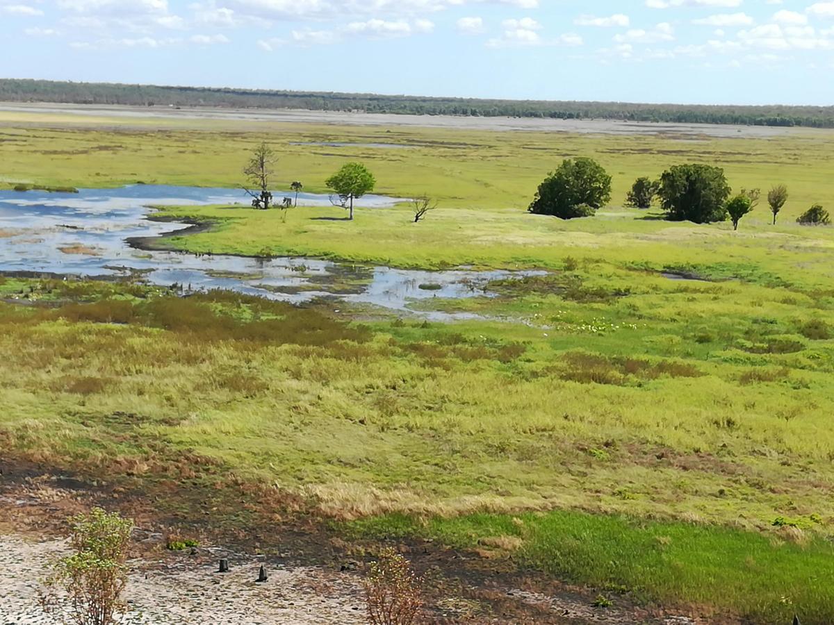 Kakadu Day Tour Ubirr Rock and Guluyambi Cultural Cruise - May to October