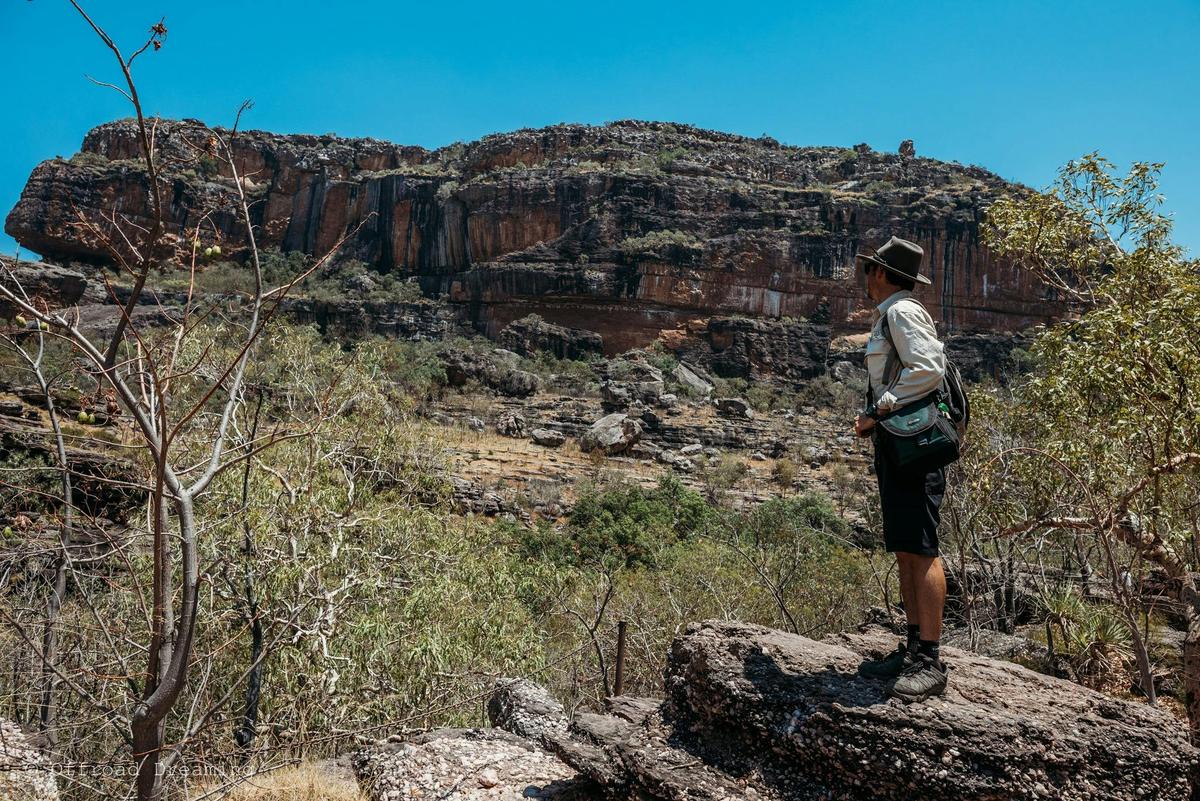 Kakadu Day Tour Nourlangie Rock Art Site and Yellow Water Cruise - March and April