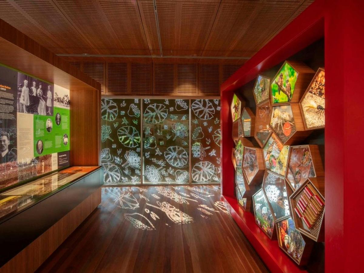 Botanic Gardens Visitor and Event Centre