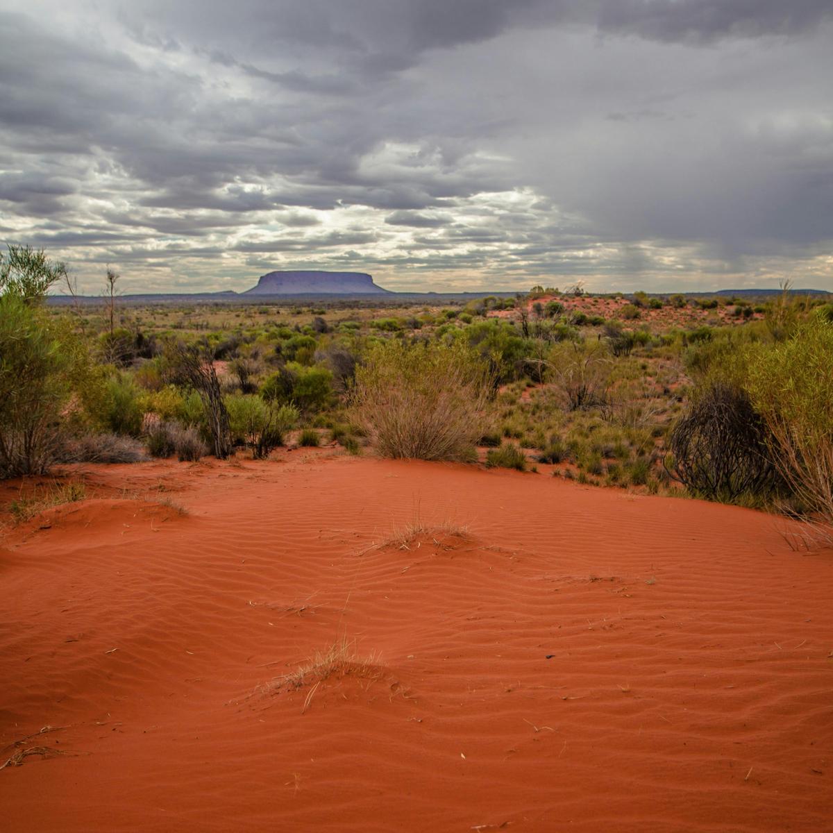Mt Conner 4WD Outback Adventure