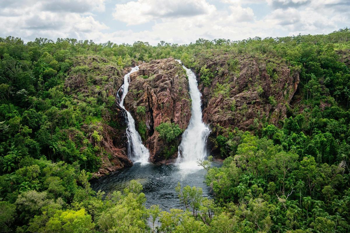 Wetland and Waterfall Tour