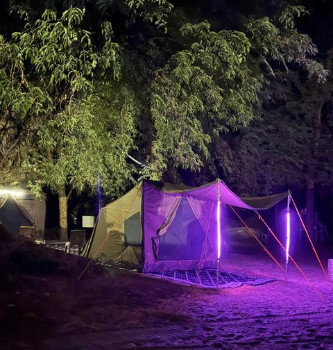 Cosy Tents