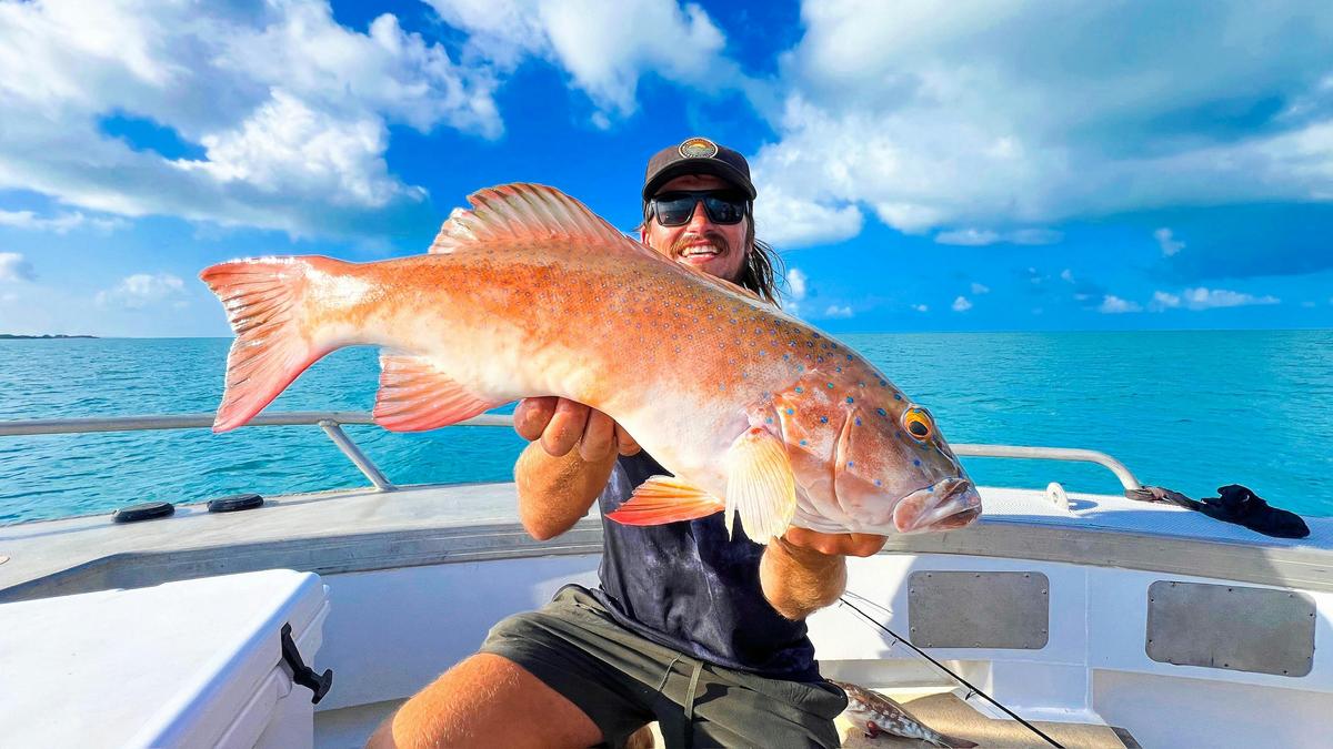 Coral Trout
