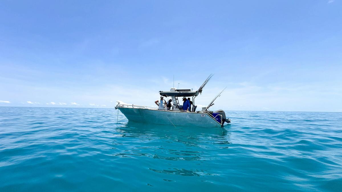 Full Day Offshore Reef & Sport Fishing Charter