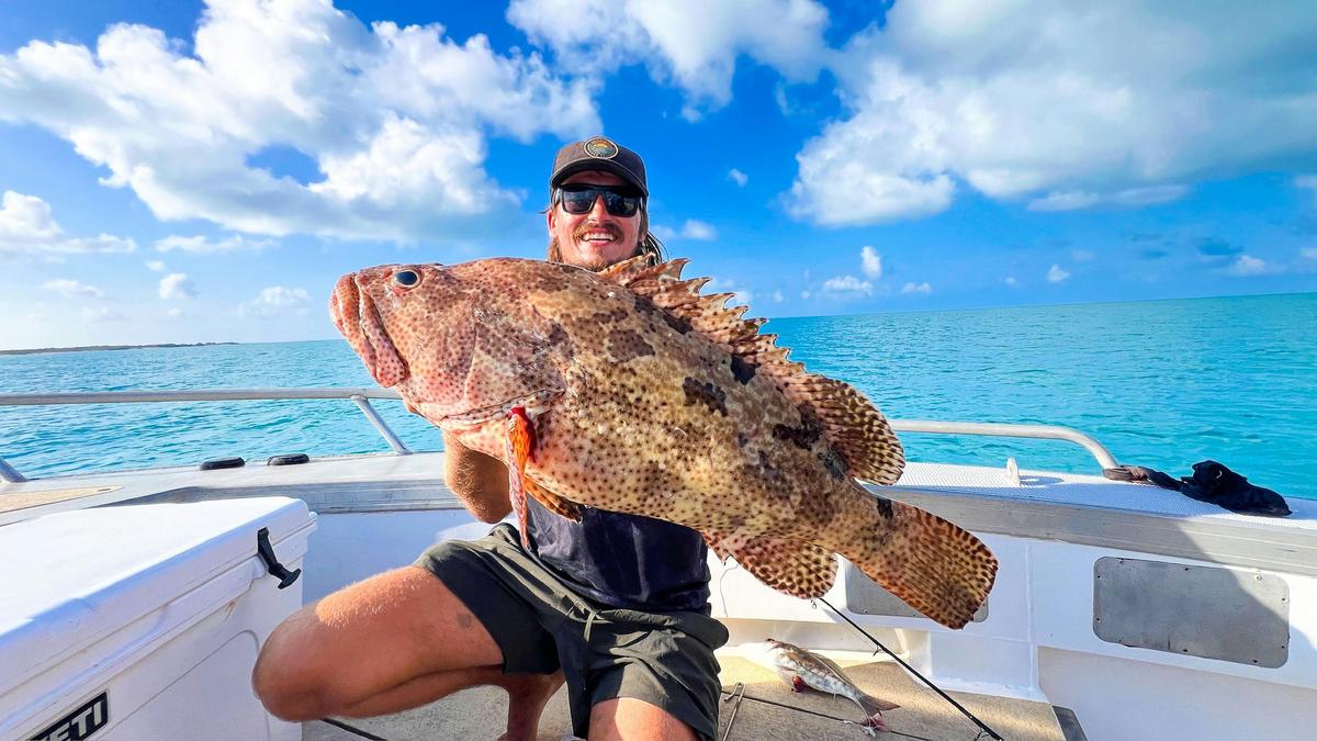 Full Day Offshore Reef & Sport Fishing Charter
