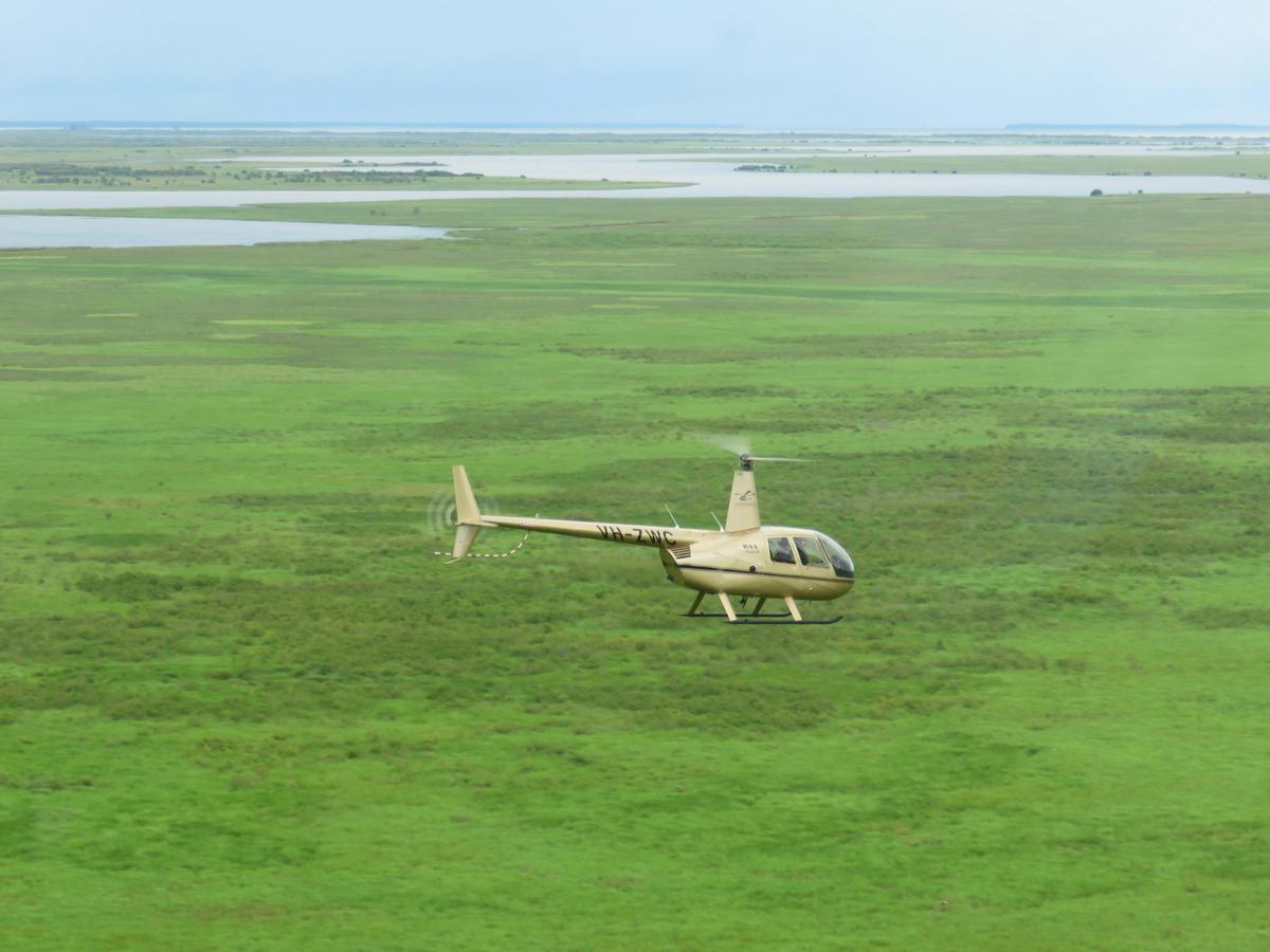 Wetlands Wilderness Experience