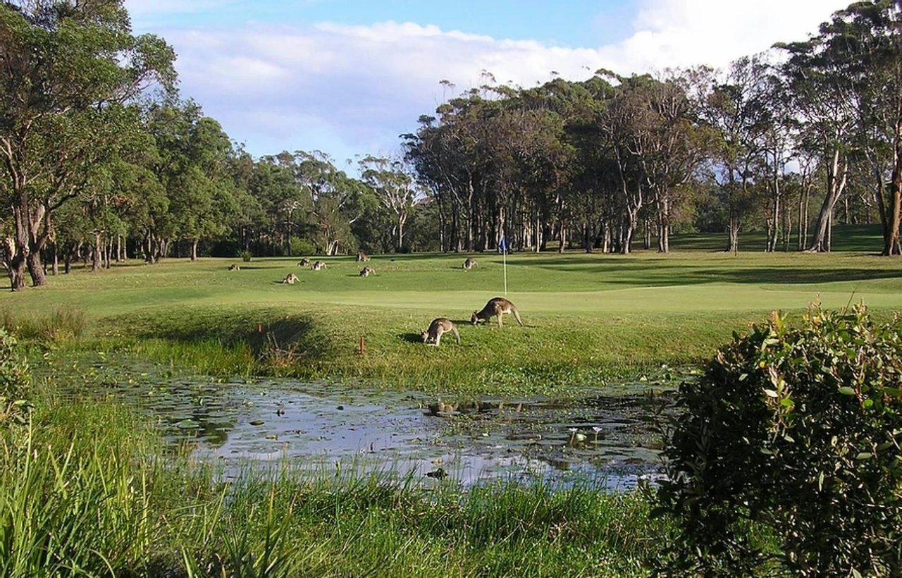 Safety Beach Golf Club