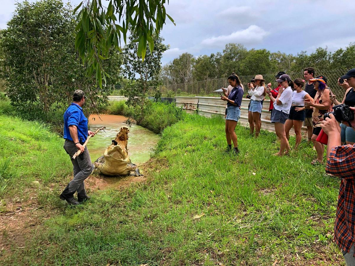 Getting up close and personal with the rescue crocs in the NT!