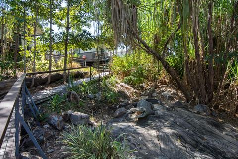 Tropical Villa