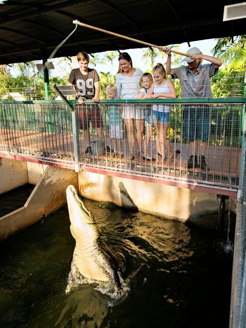 Croc Feeding Tour | Crocodylus Park
