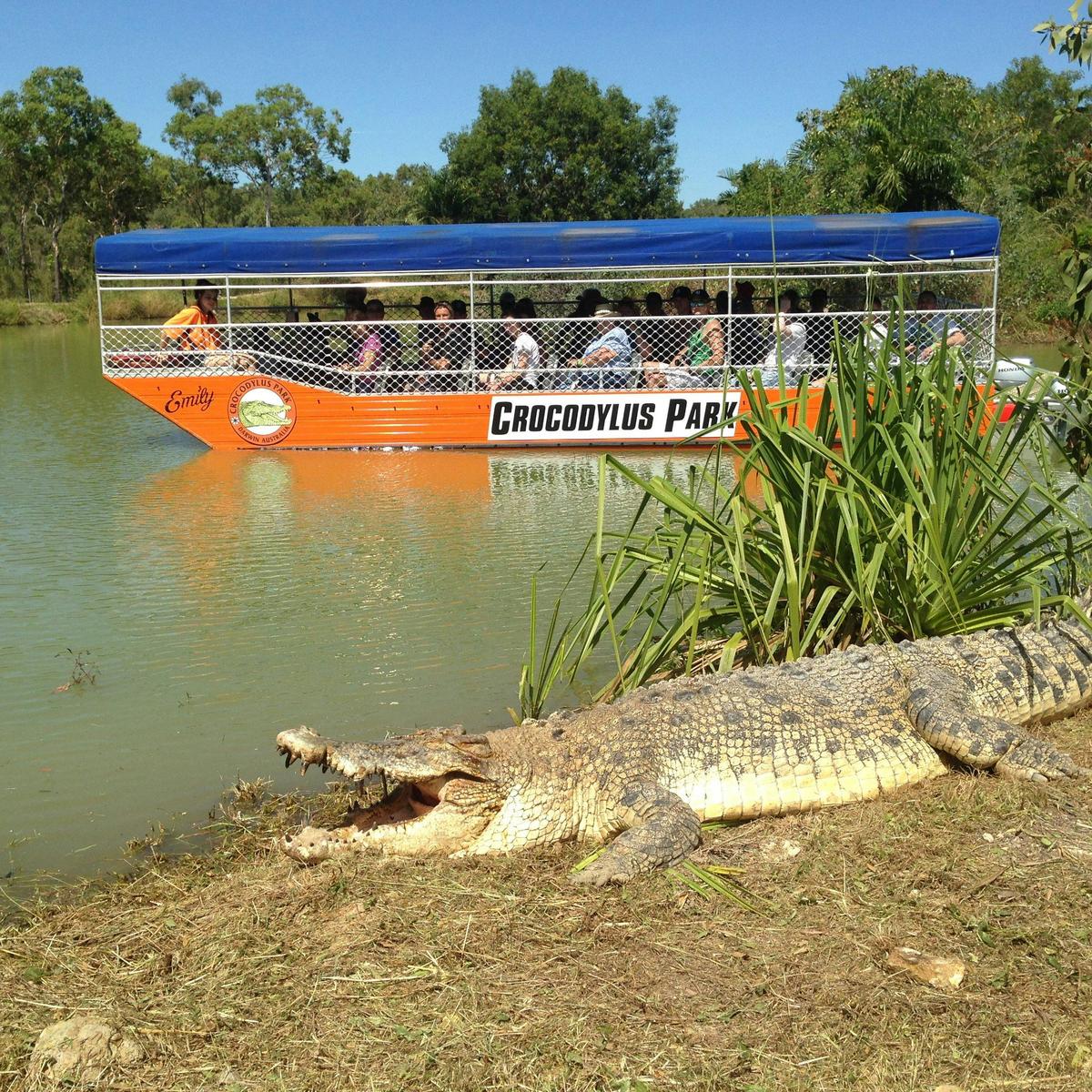 Croc Boat Cruise | Crocodylus Park