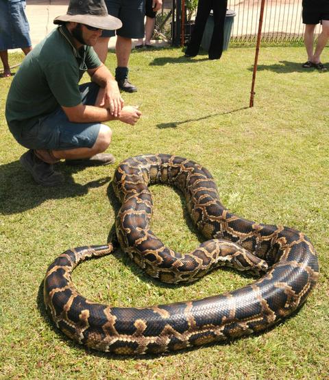 Reptile handling | Crocodylus Park