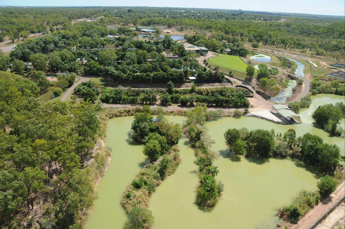 Croc Boat Cruise | Crocodylus Park