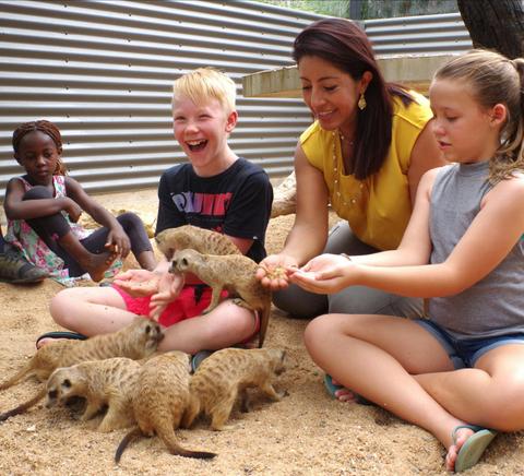 Animal Encounters | Crocodylus Park