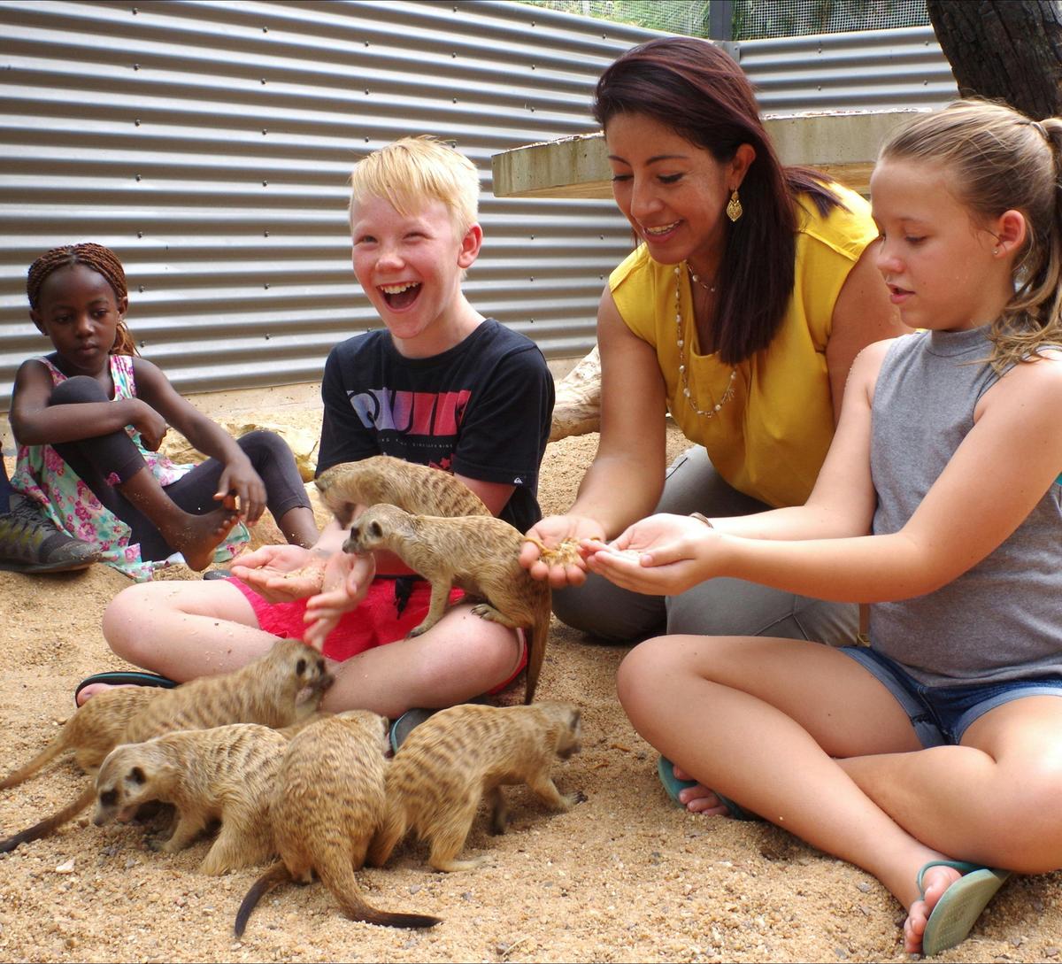 Animal Encounters | Crocodylus Park