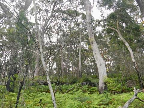 Bakers Flat picnic area