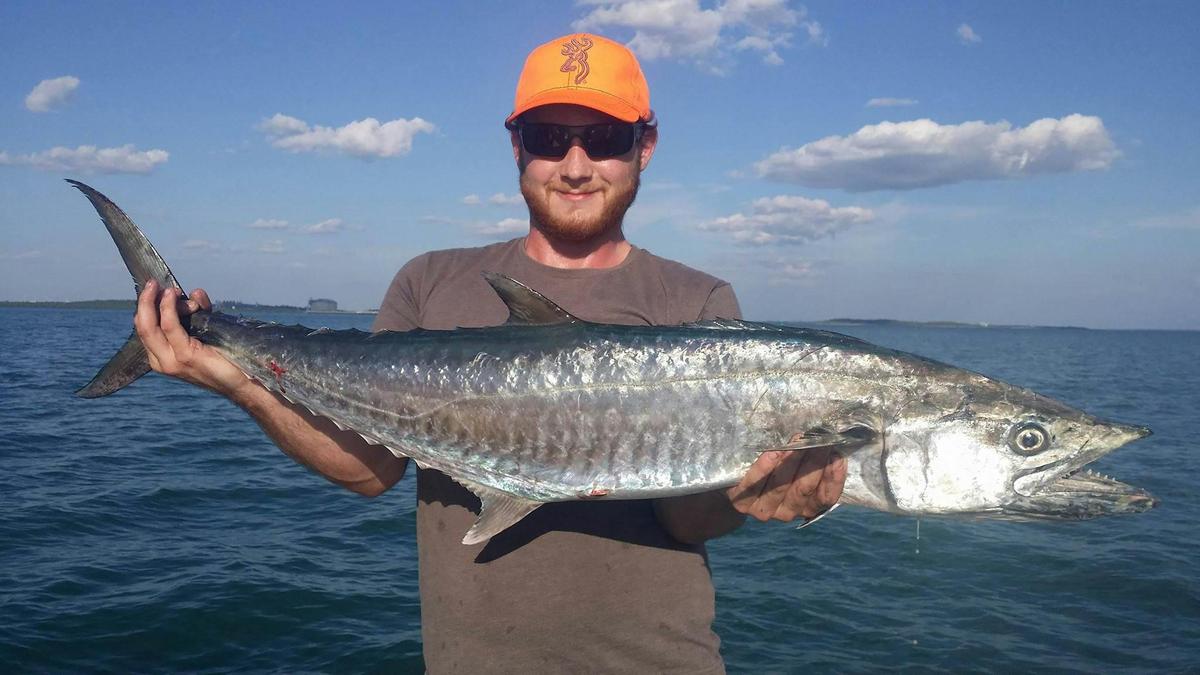 barracuda darwin