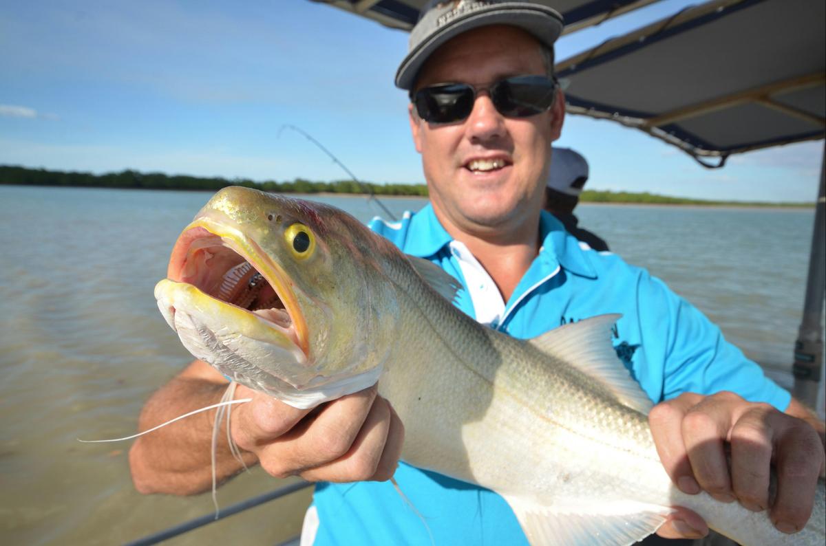 threadfin salmon darwin