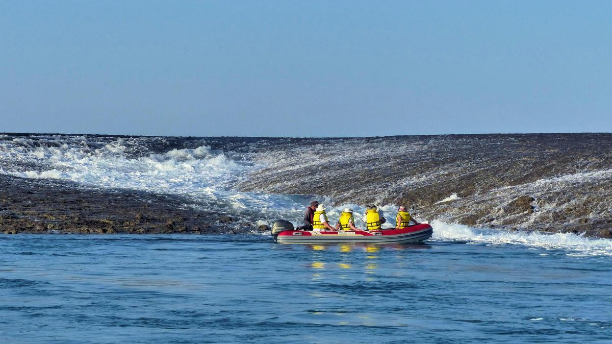 Experience Montgoermy Reef on a zodiak with Coral Expeditions
