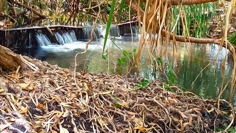 Coomalie Creek Tourist Park