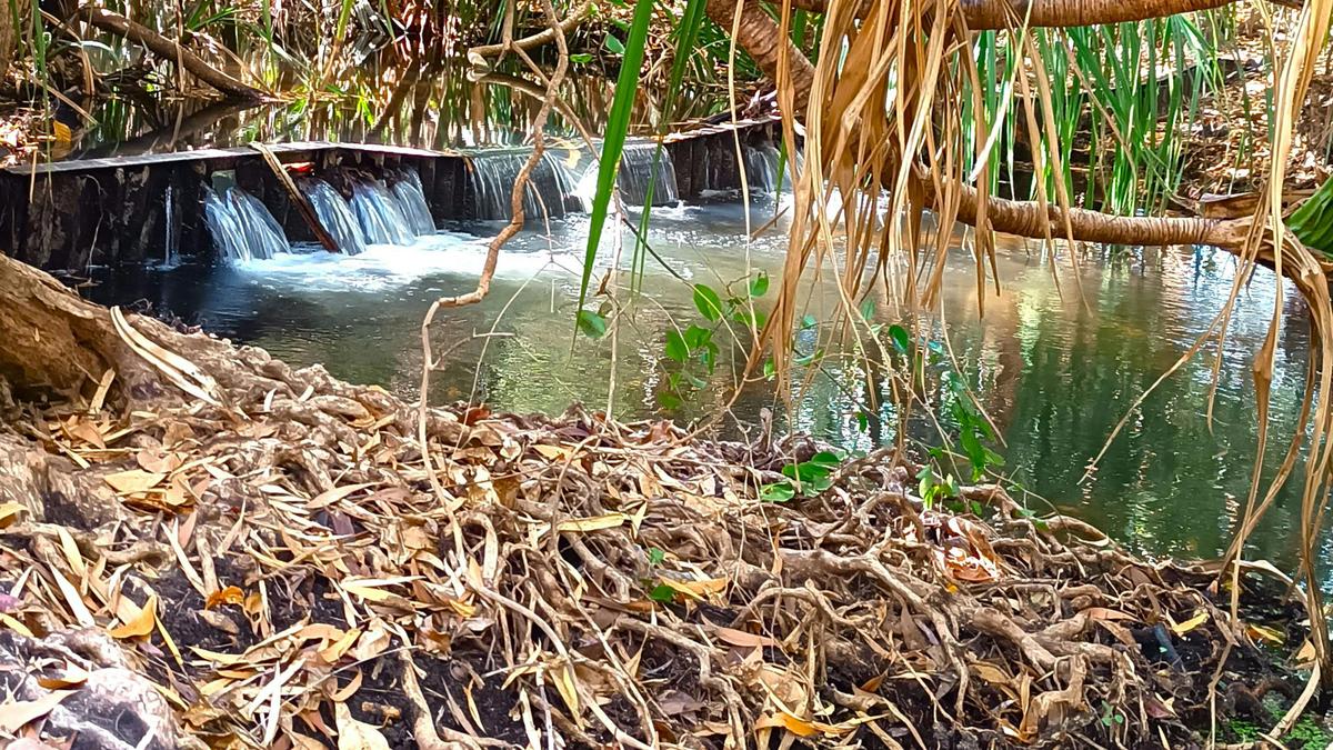 Coomalie Creek Tourist Park