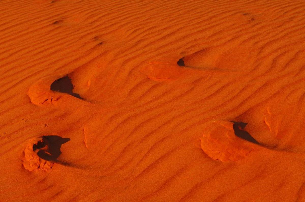 Red Centre Journey Tour