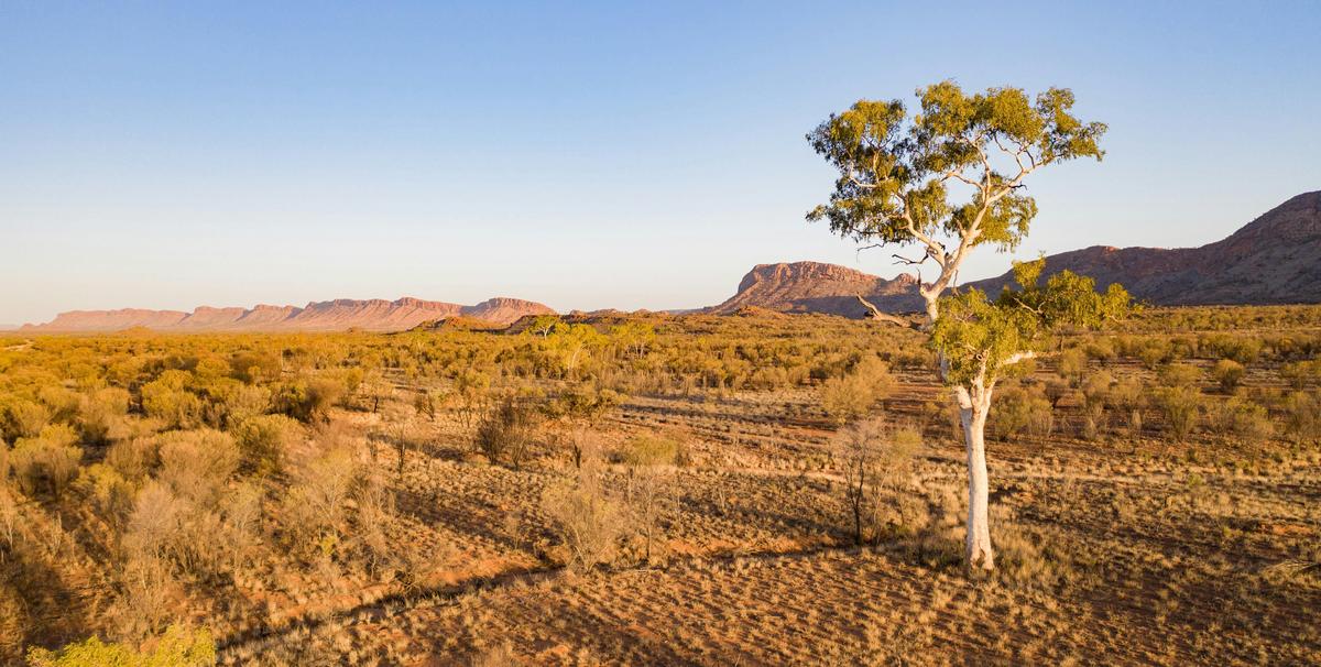 1 Day West MacDonnell Ranges Tour
