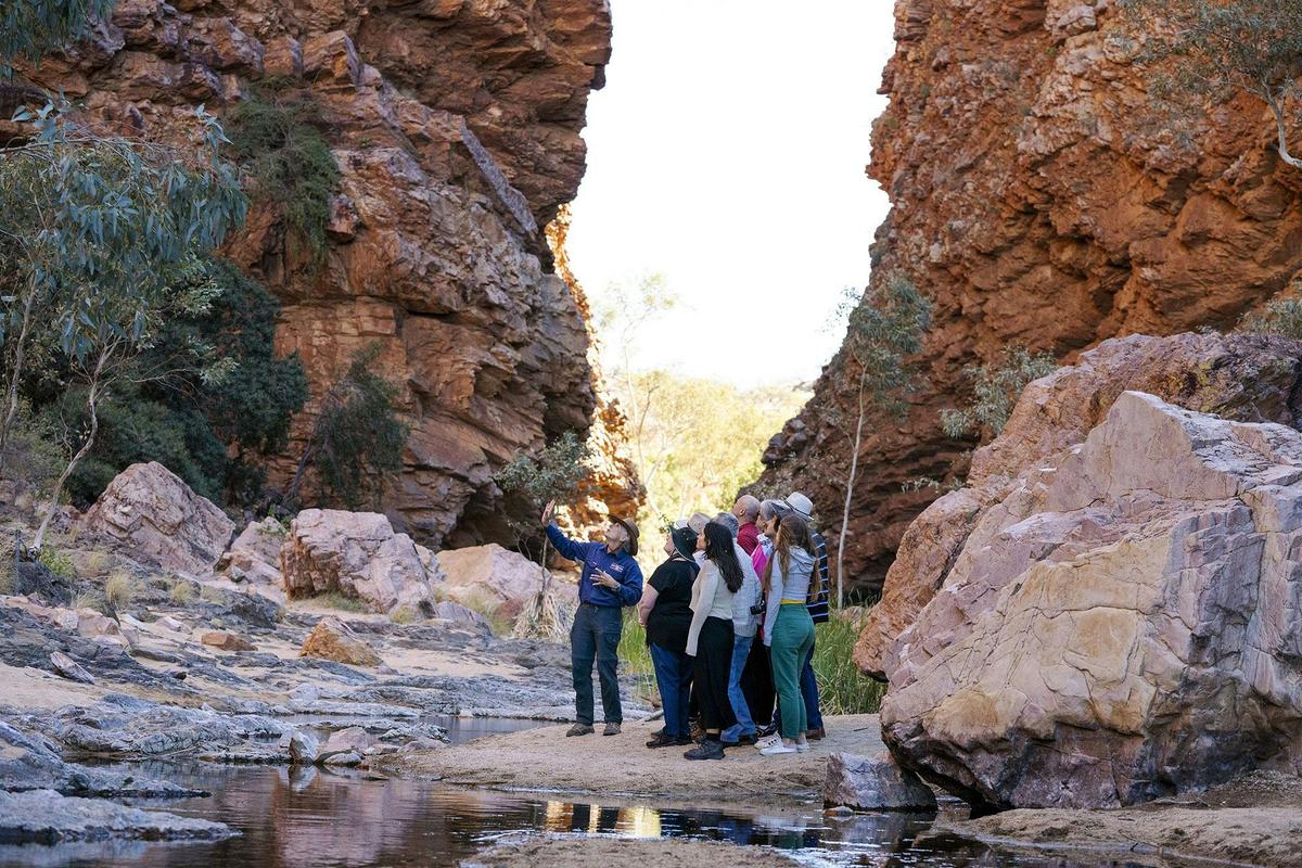 Half Day West MacDonnell Ranges Tour