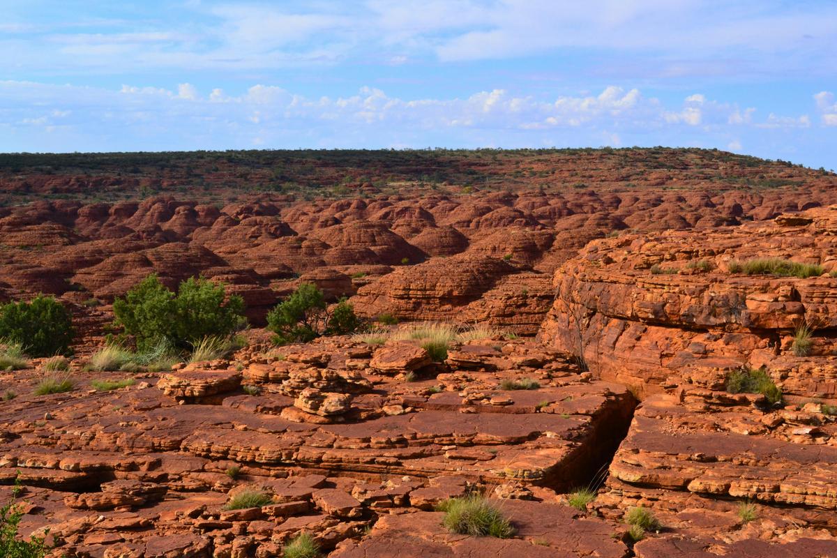 3 Day 2 Night Kings Canyon Experience