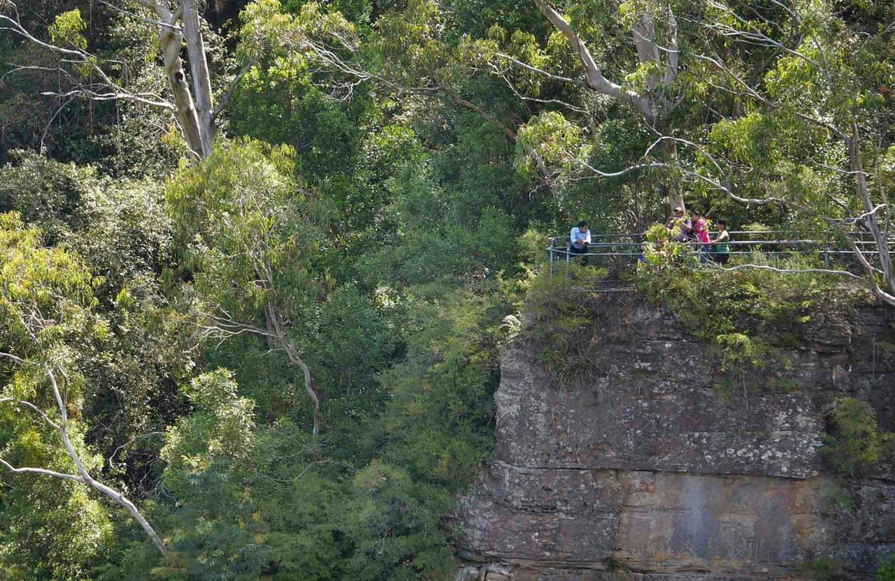 Vanimans Lookout, Round Walking Track, Blue Mountains National Park. Photo: Steve Alton.