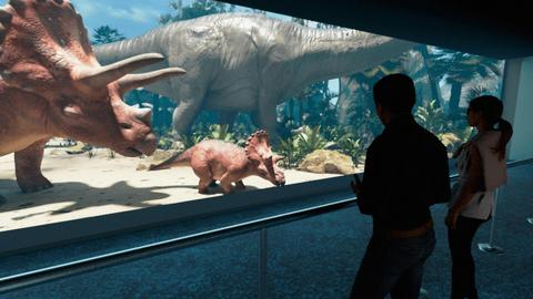 Hologram Zoo Darwin