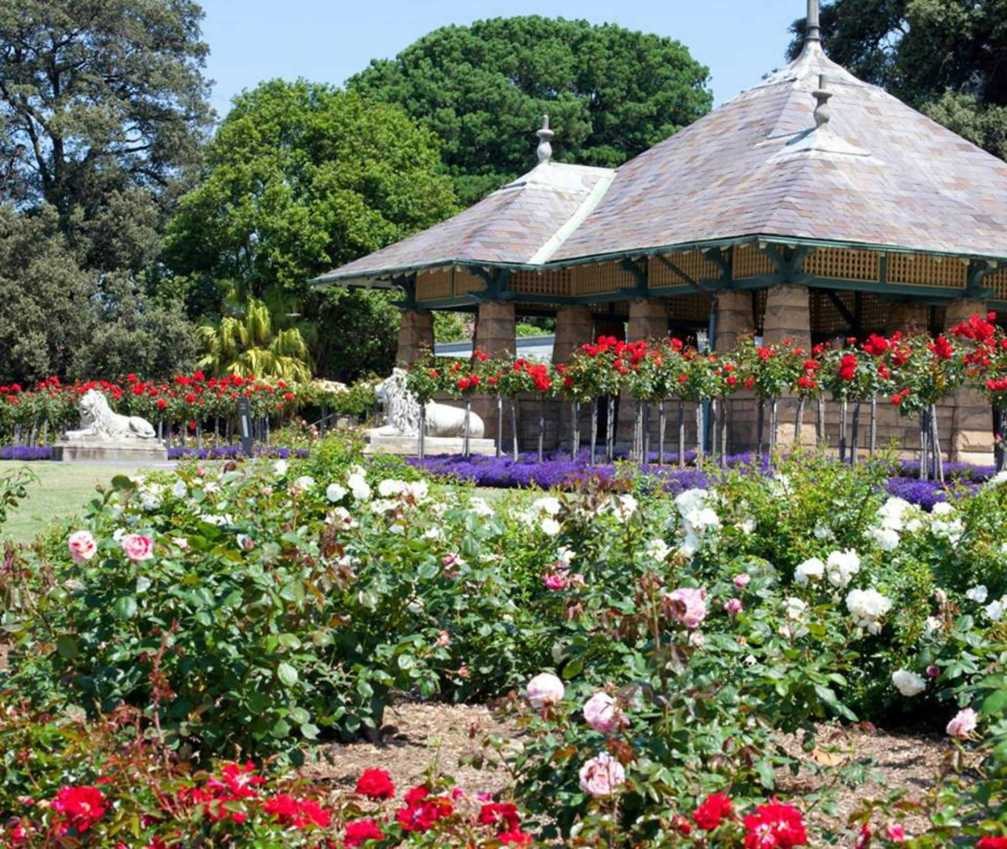 Royal Botanic Garden