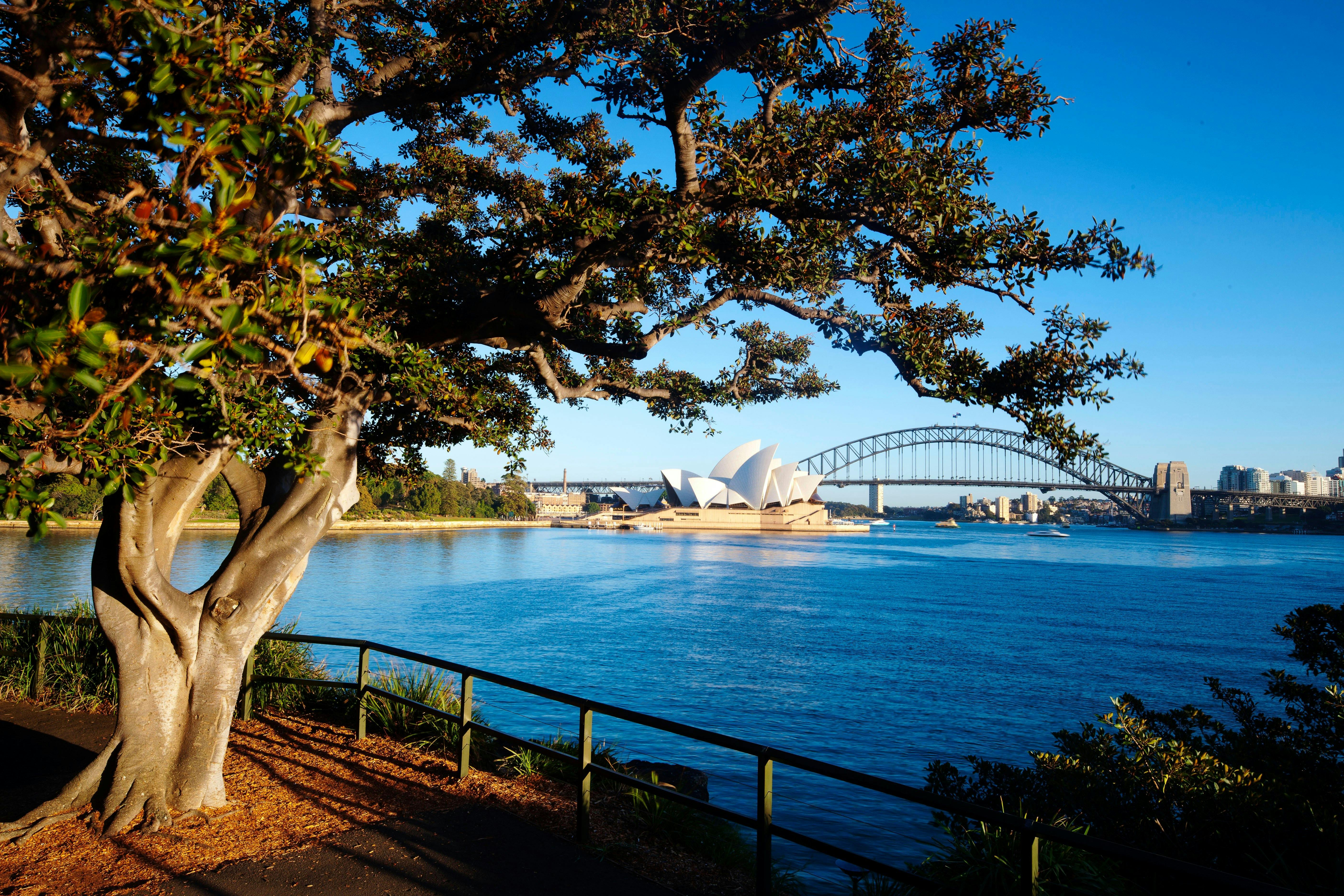 Mrs Macquaries Point- Royal Botanic Garden Sydney