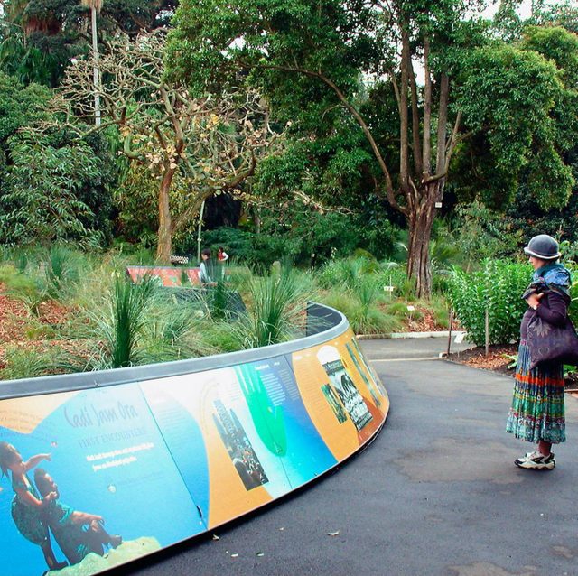 Royal Botanic Garden and the Domain