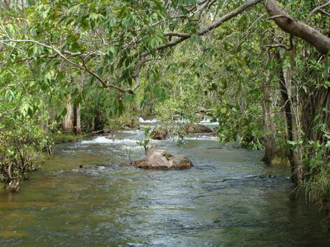 Florence Creek walk