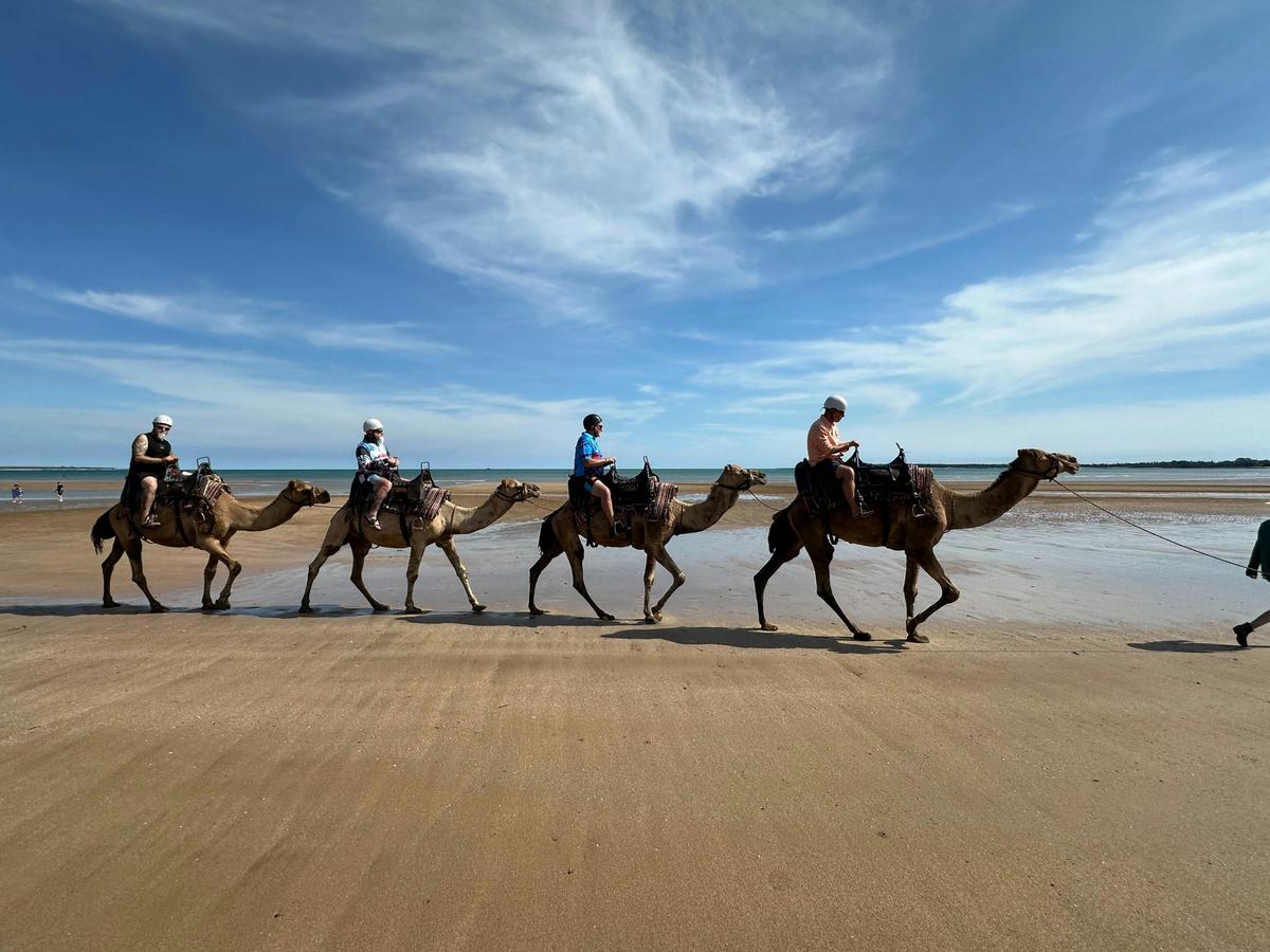 Beach Camel Ride