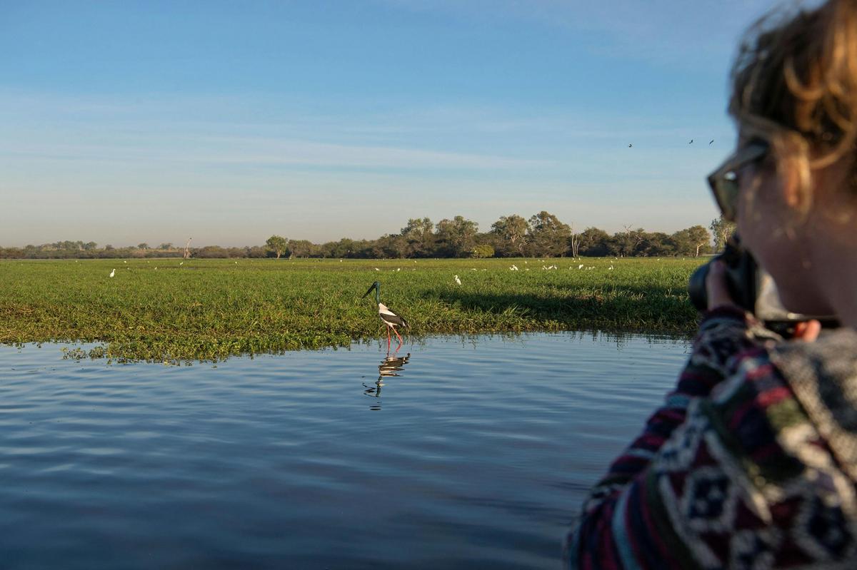 A person looks at the Yellow Water floodplain