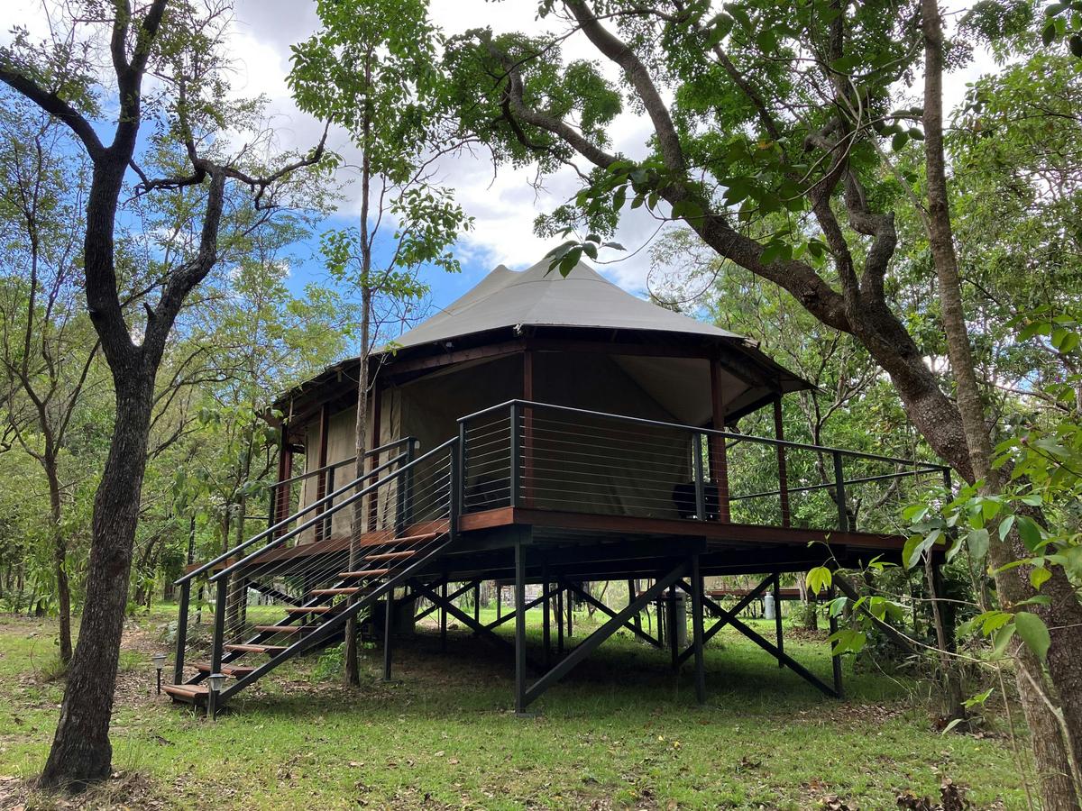 Luxury Glamping Tent