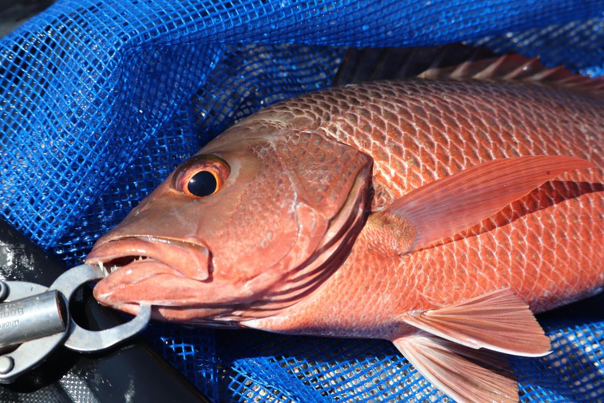 Darwin Day & Extended Fishing Escapes