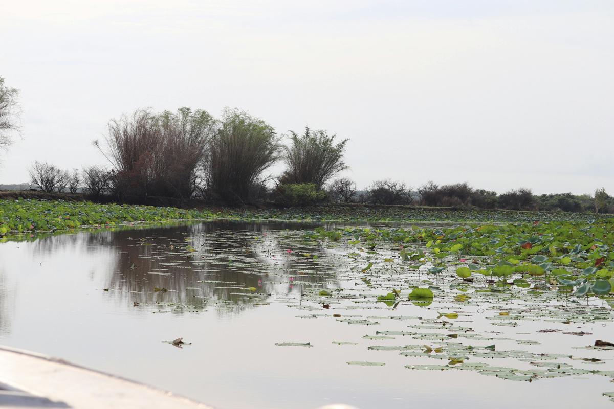 Billabong Barramundi Fishing Escapes